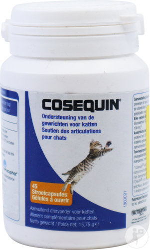 Cosequin