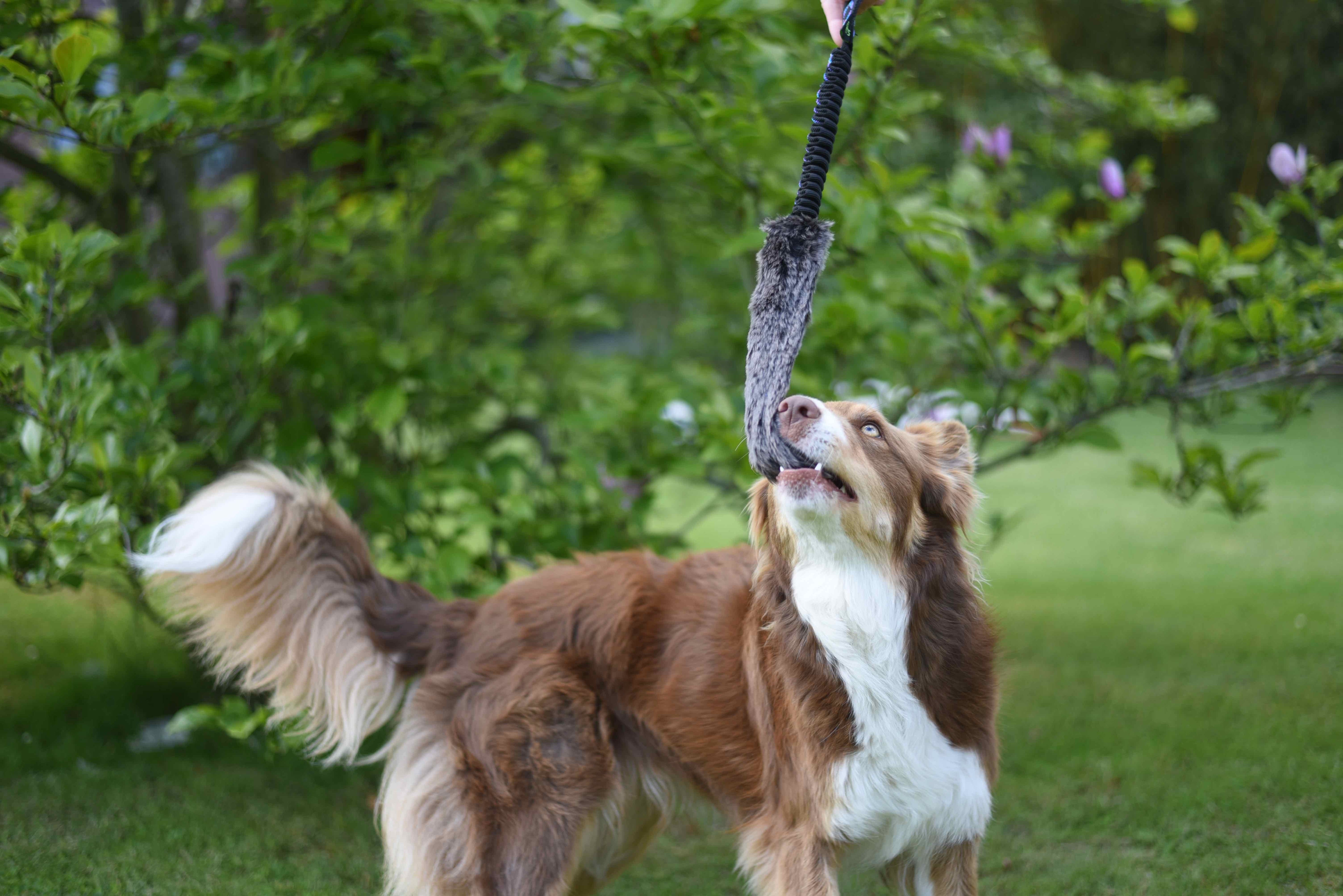 Jouet Oveja fourrure et élastique