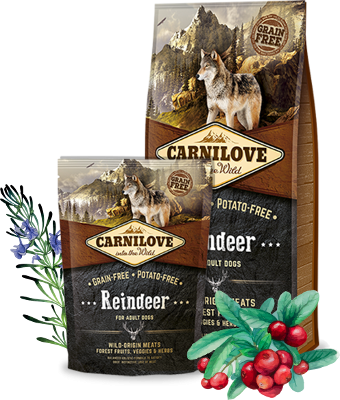Carnilove Renne croquettes pour chien
