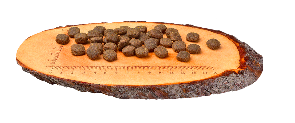 Carnilove Renne croquettes pour chien