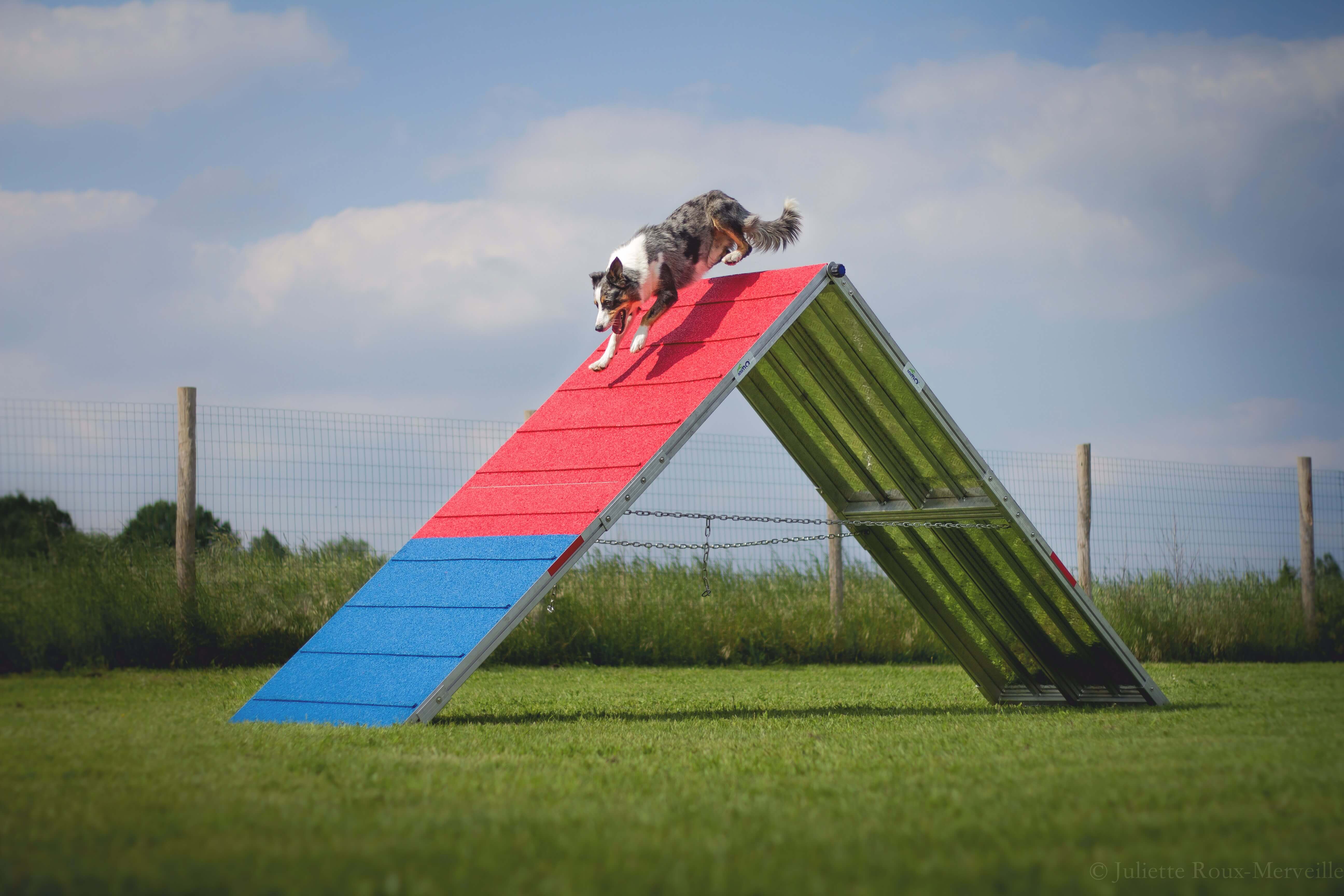 Agility Run Palissade