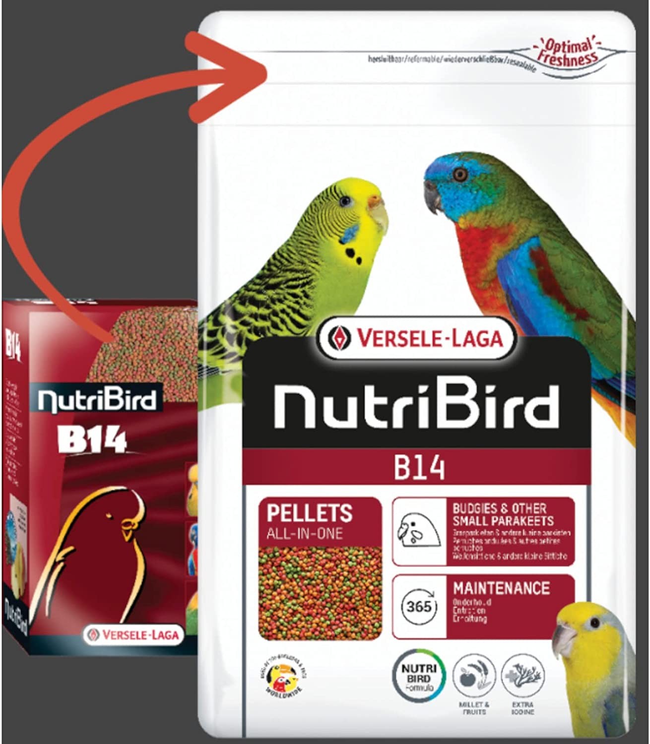 Aliment d'entretien pour oiseau 800 gr