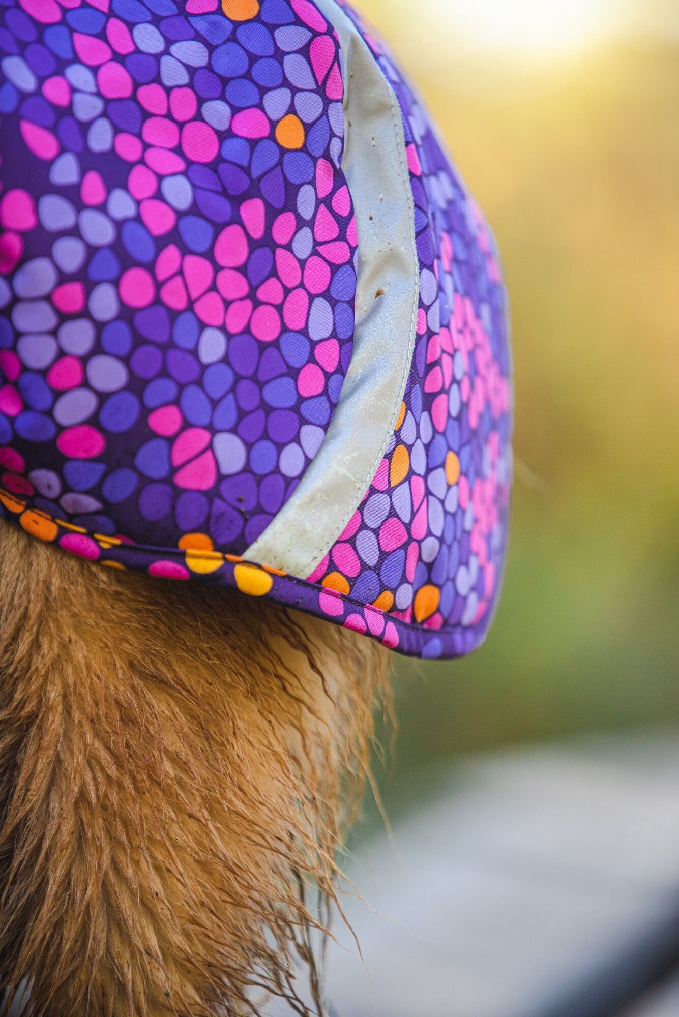 Pomppa Toppa manteau impermeable doublé pour chien Moyen