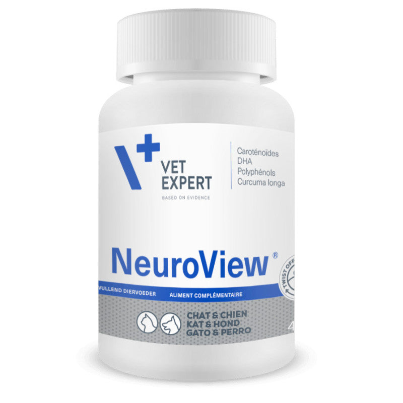 Neuroview