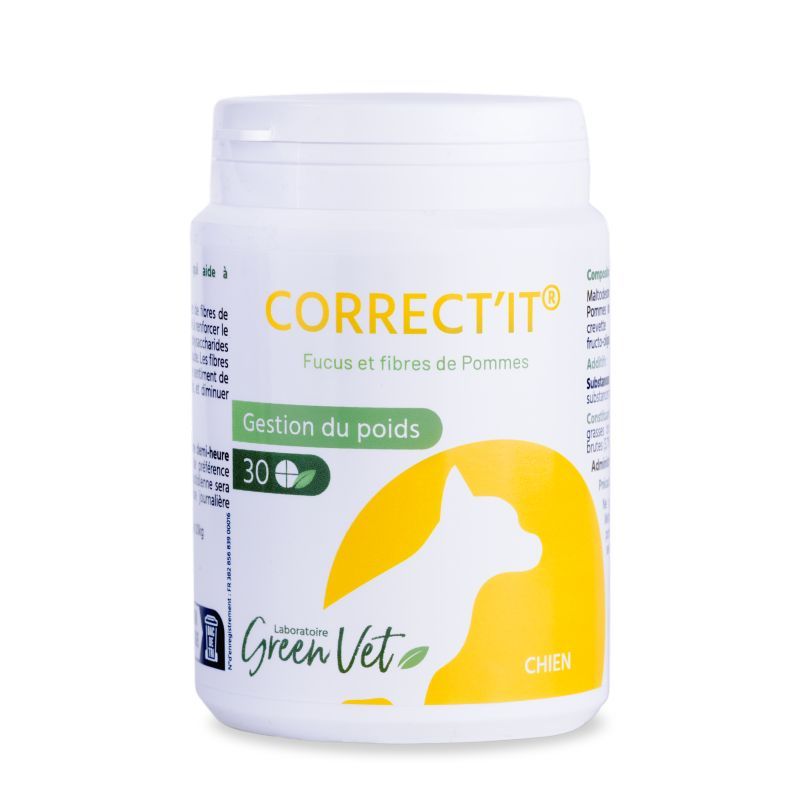 Correct'it Chien