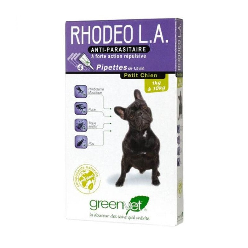 Rhodeo l.a Chien