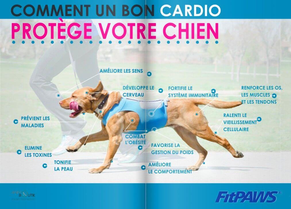 FitPaws livre guide de la proprioception