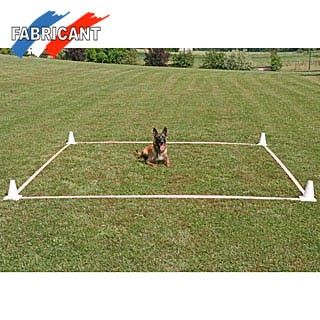 Carré d'obéissance