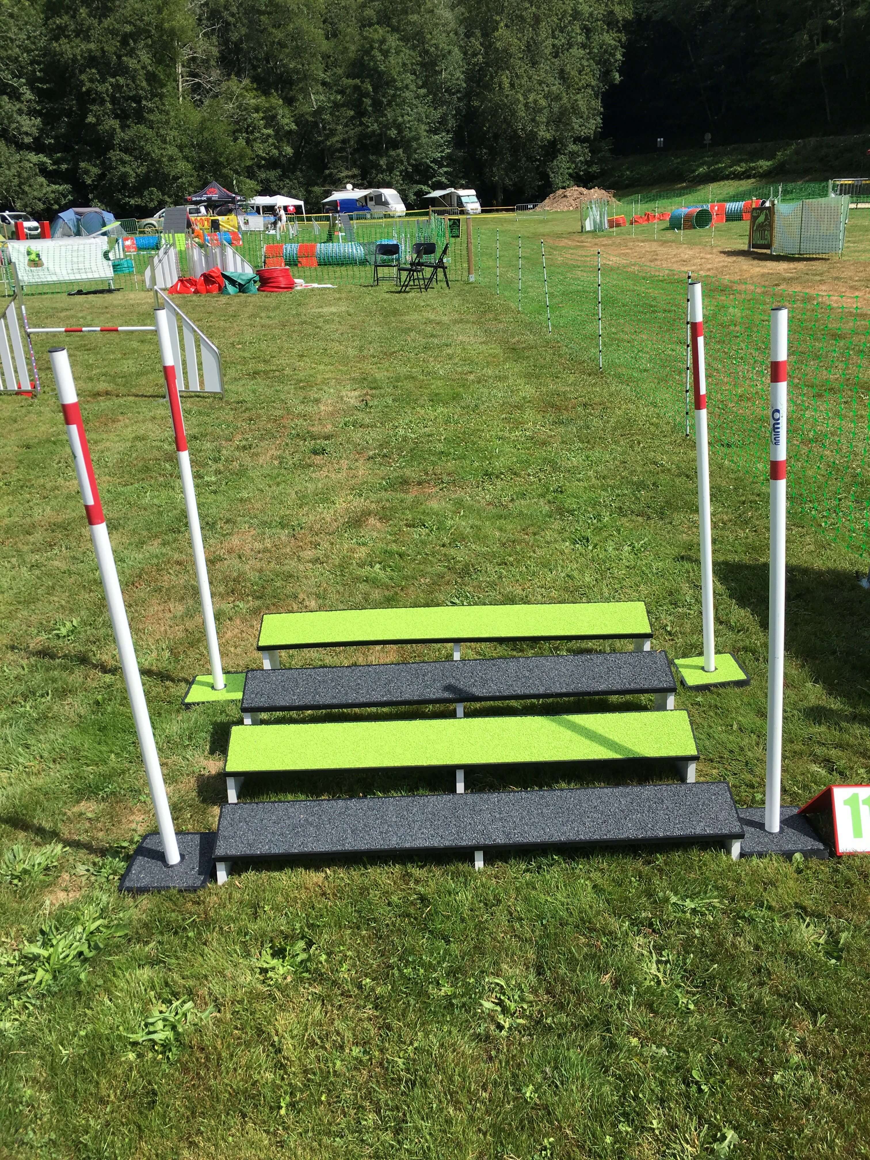 Elite Saut en longueur en tartan pour agility