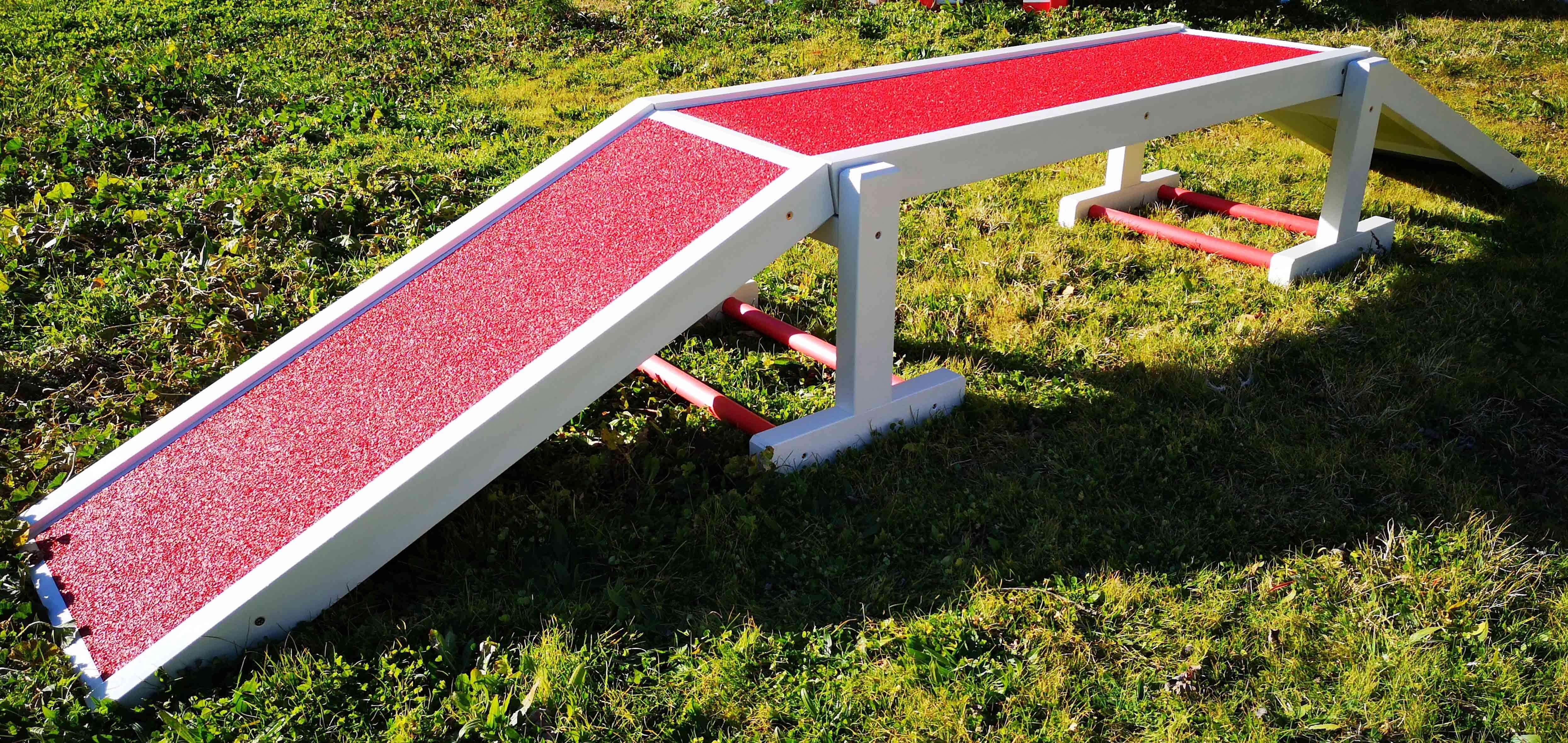 Ecole du chiot La passerelle