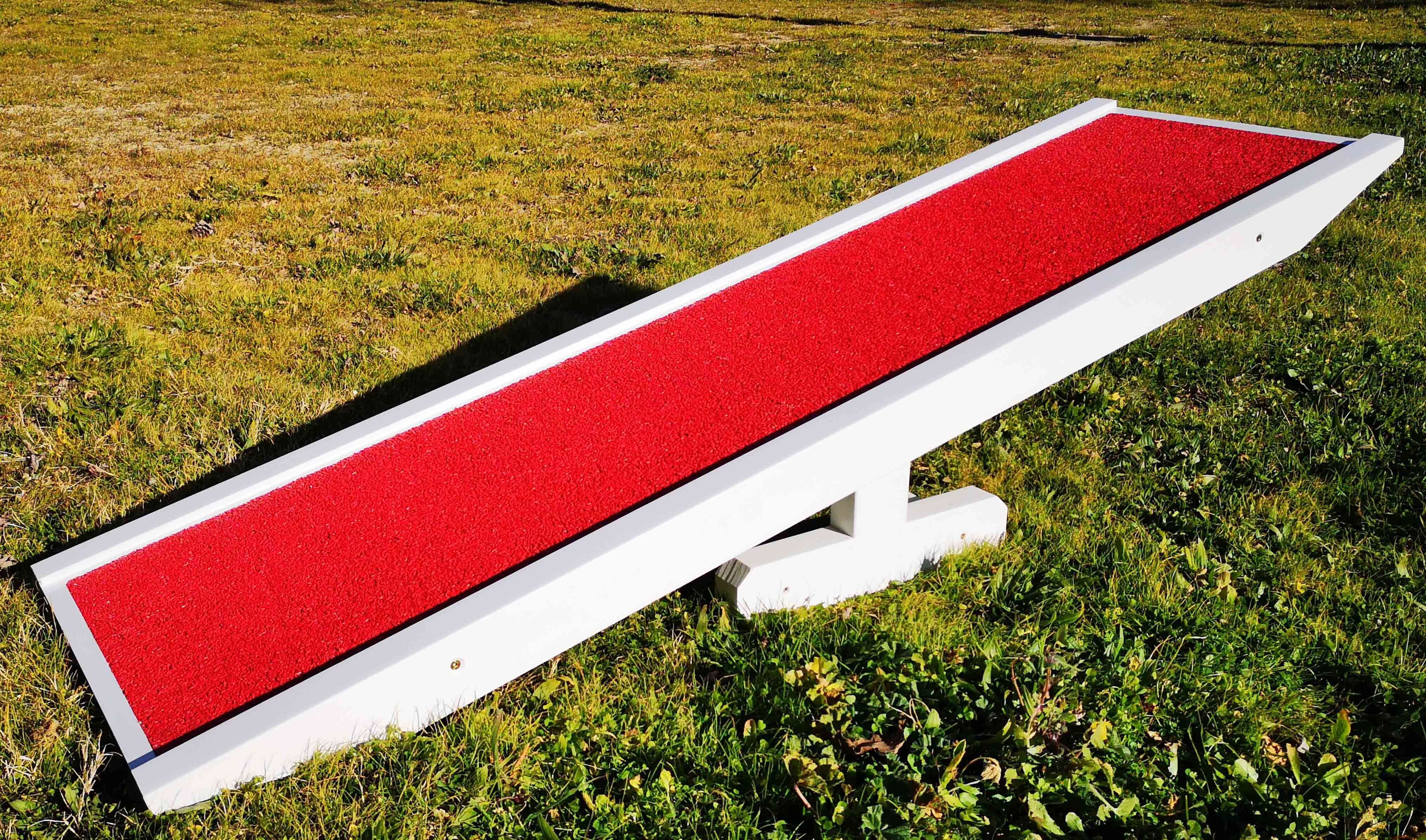 Ecole du chiot La balancoire