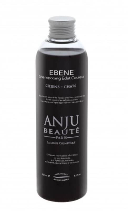 Anju Beauté shampooing éclat couleur ébène