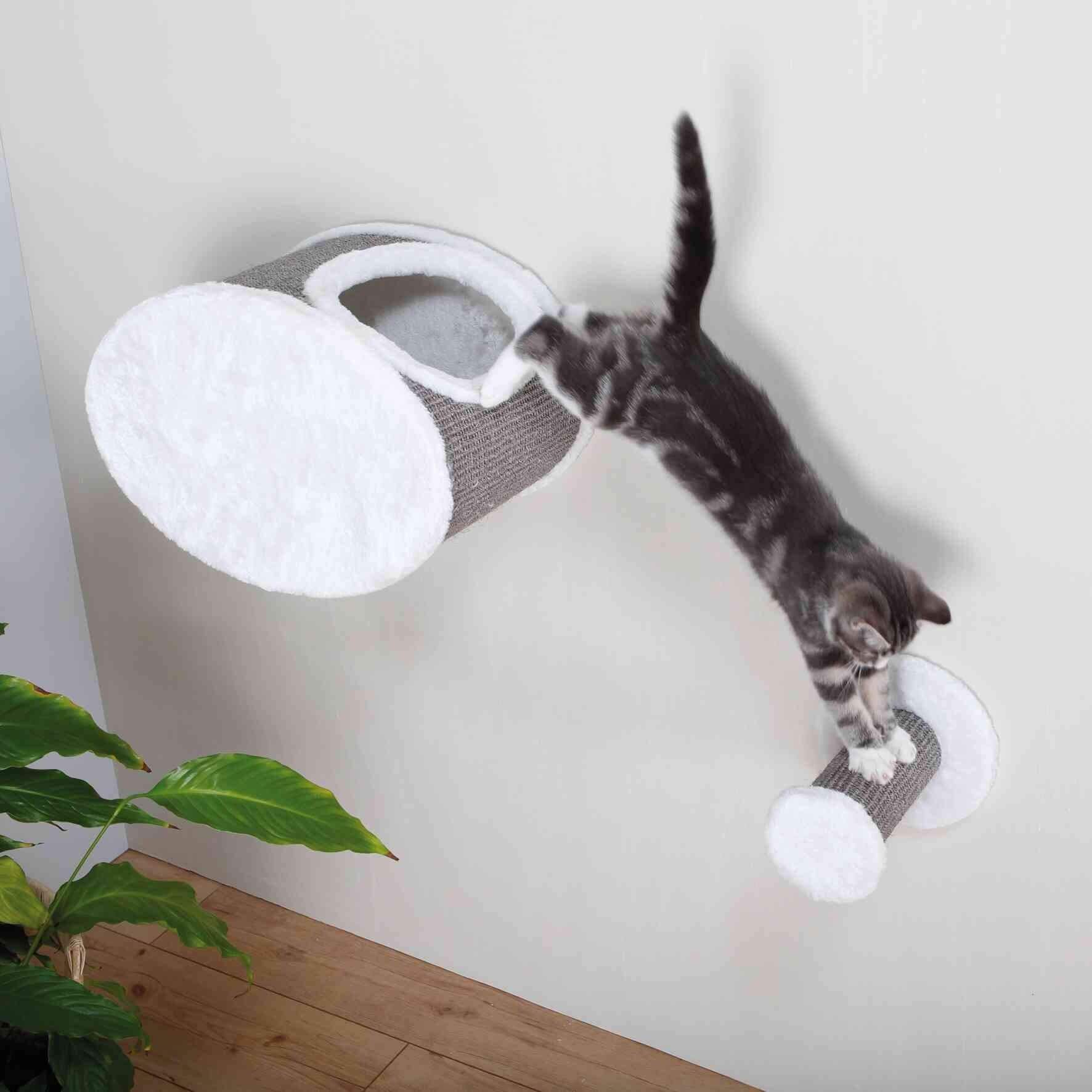 Barreau d'escalade à fixer au mur pour chat