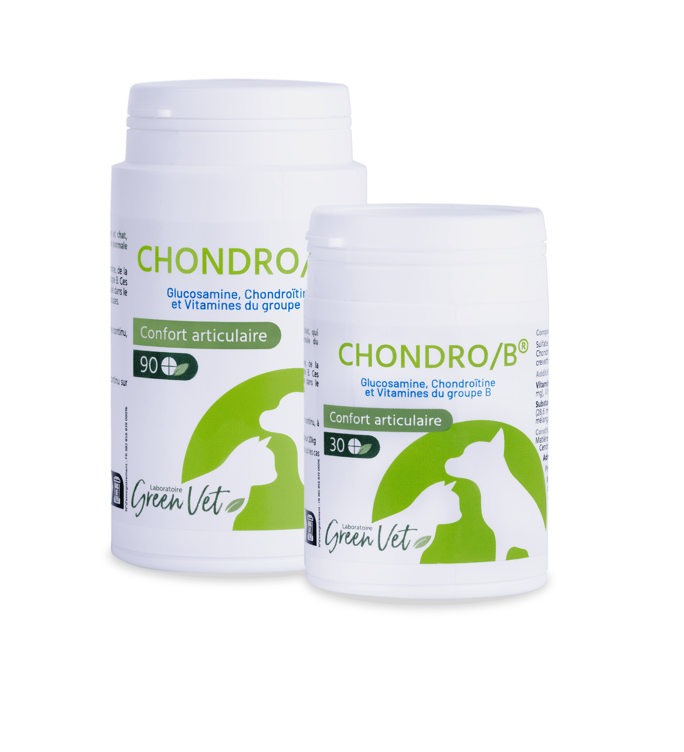 Chondro B Chat & Chien