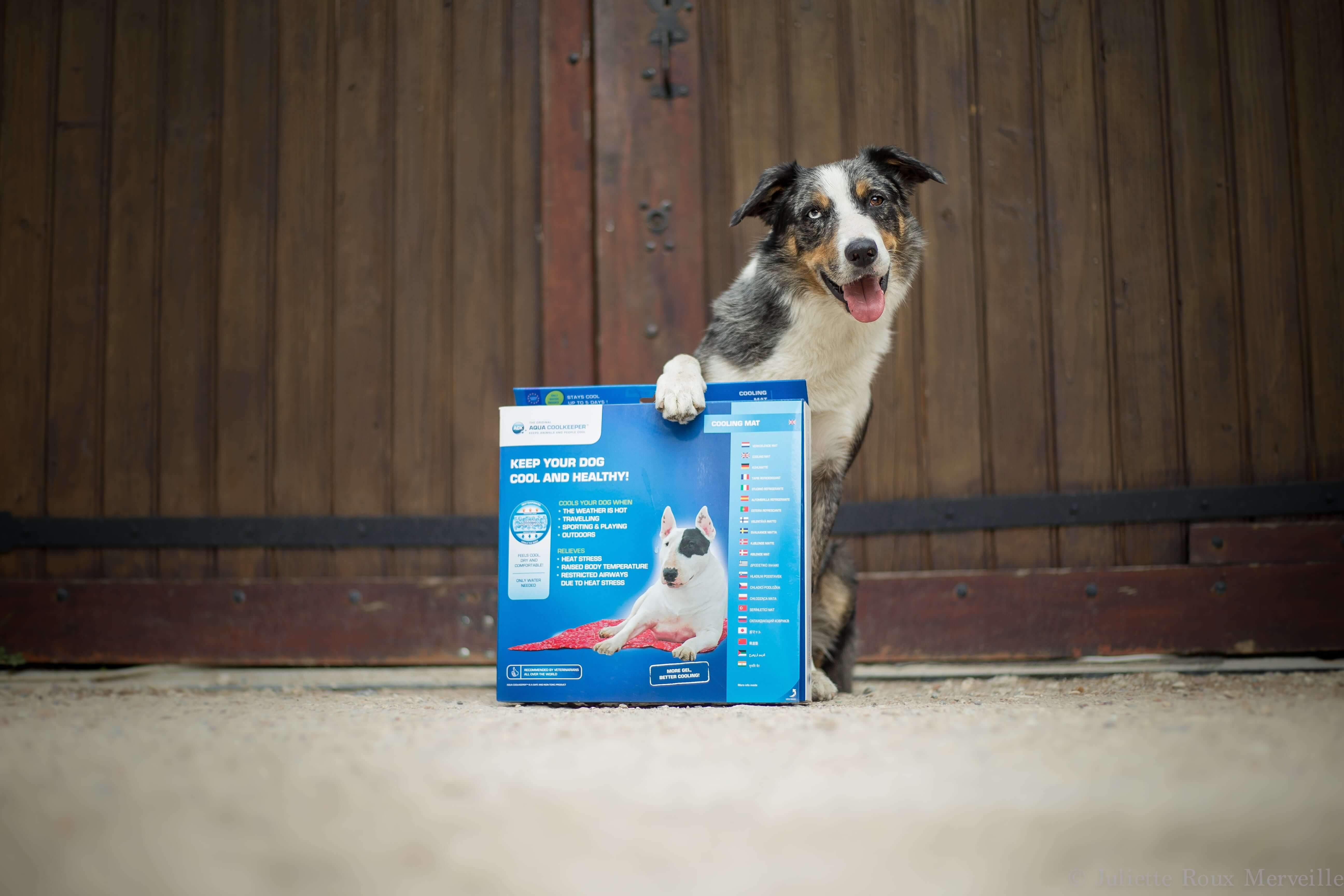 Aqua Coolkeeper Tapis rafraichissant pour chien