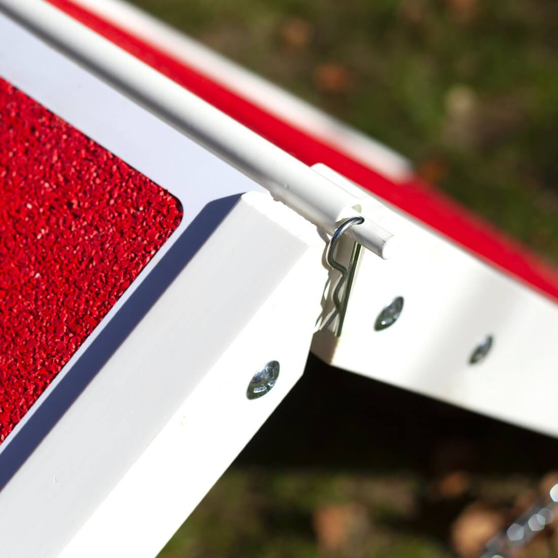 Ecole du chiot La palissade