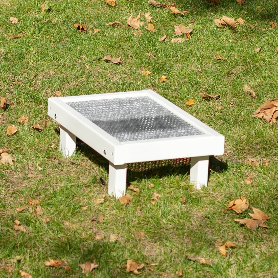 Ecole du chiot Les dalles