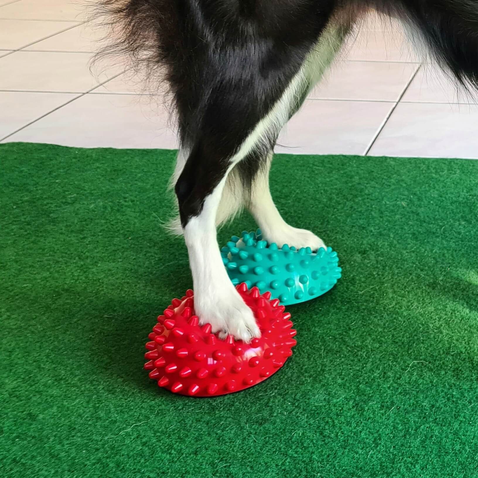 FitPaws Paw Pods Antidérapants