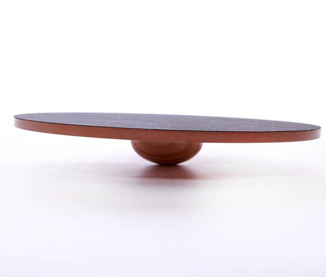 FitPaws Wobble board