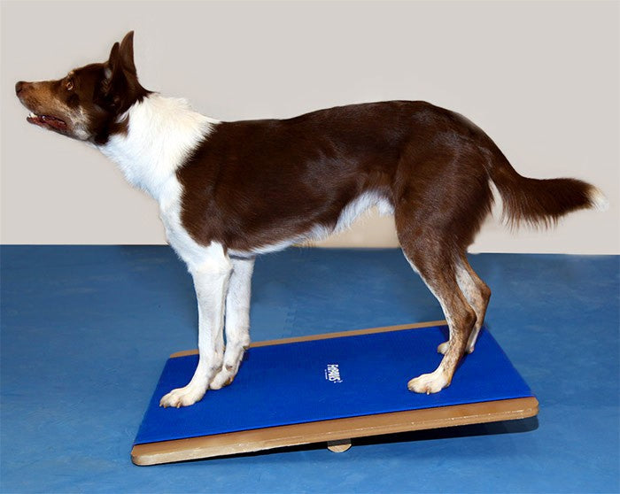 FitPaws Giant Rocker board