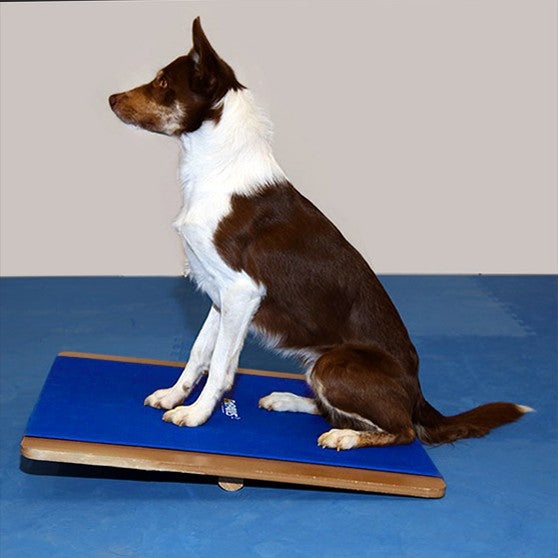 FitPaws Giant Rocker board