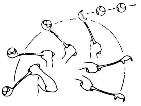 Jeu Lanceur de balle Maxi Speed
