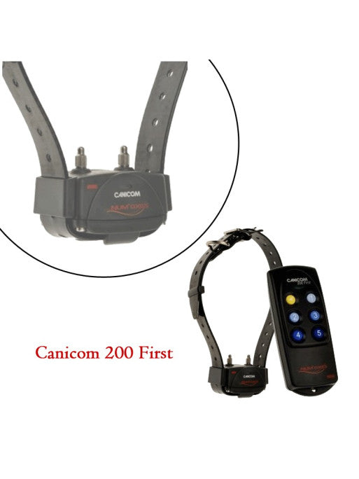 Collier dressage Canicom