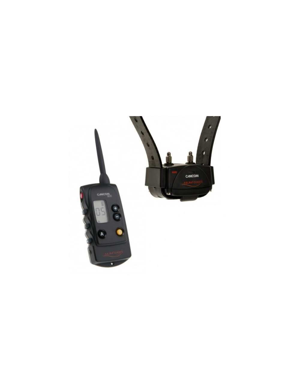 Collier dressage Canicom