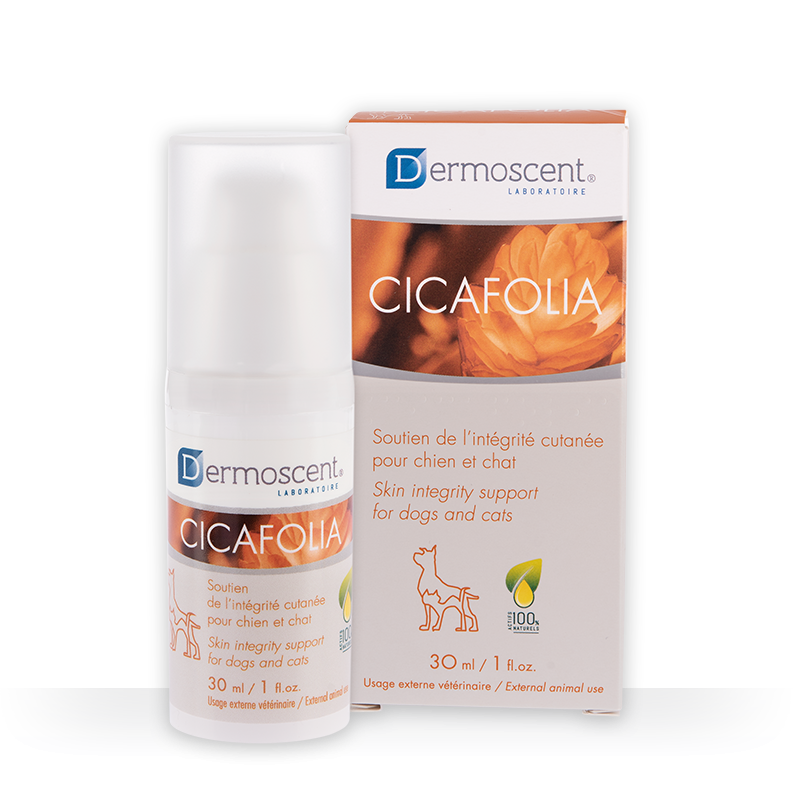Dermoscent Cicafolia Chien Chat