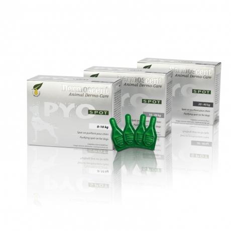 Dermoscent Pyospot Chien