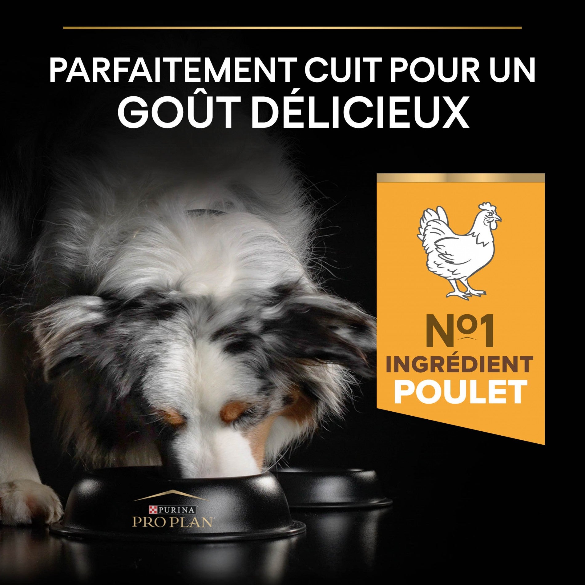 PRO PLAN Age Defence Medium & Large Adult au Poulet - Croquettes pour chien