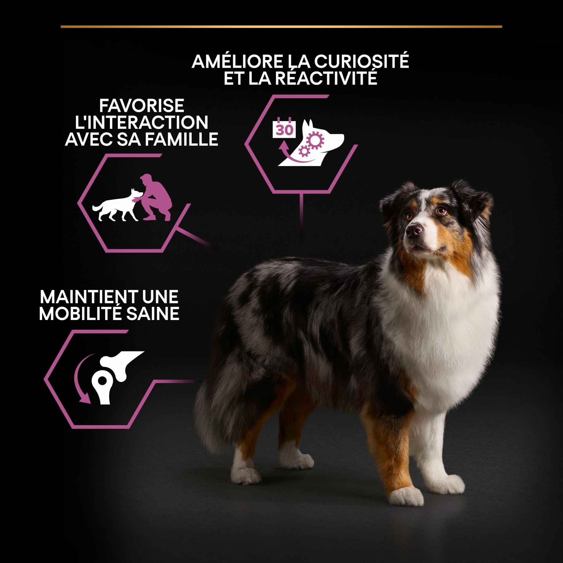 PRO PLAN Age Defence Medium & Large Adult au Poulet - Croquettes pour chien