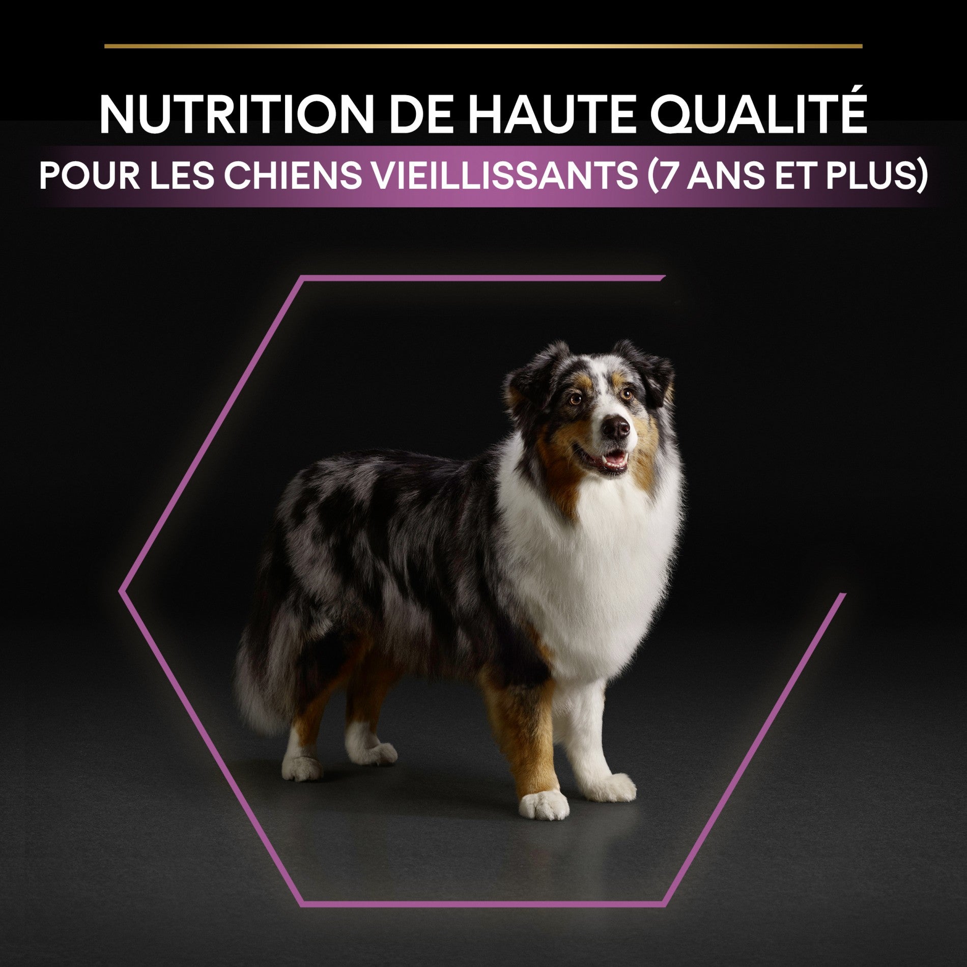 PRO PLAN Age Defence Medium & Large Adult au Poulet - Croquettes pour chien