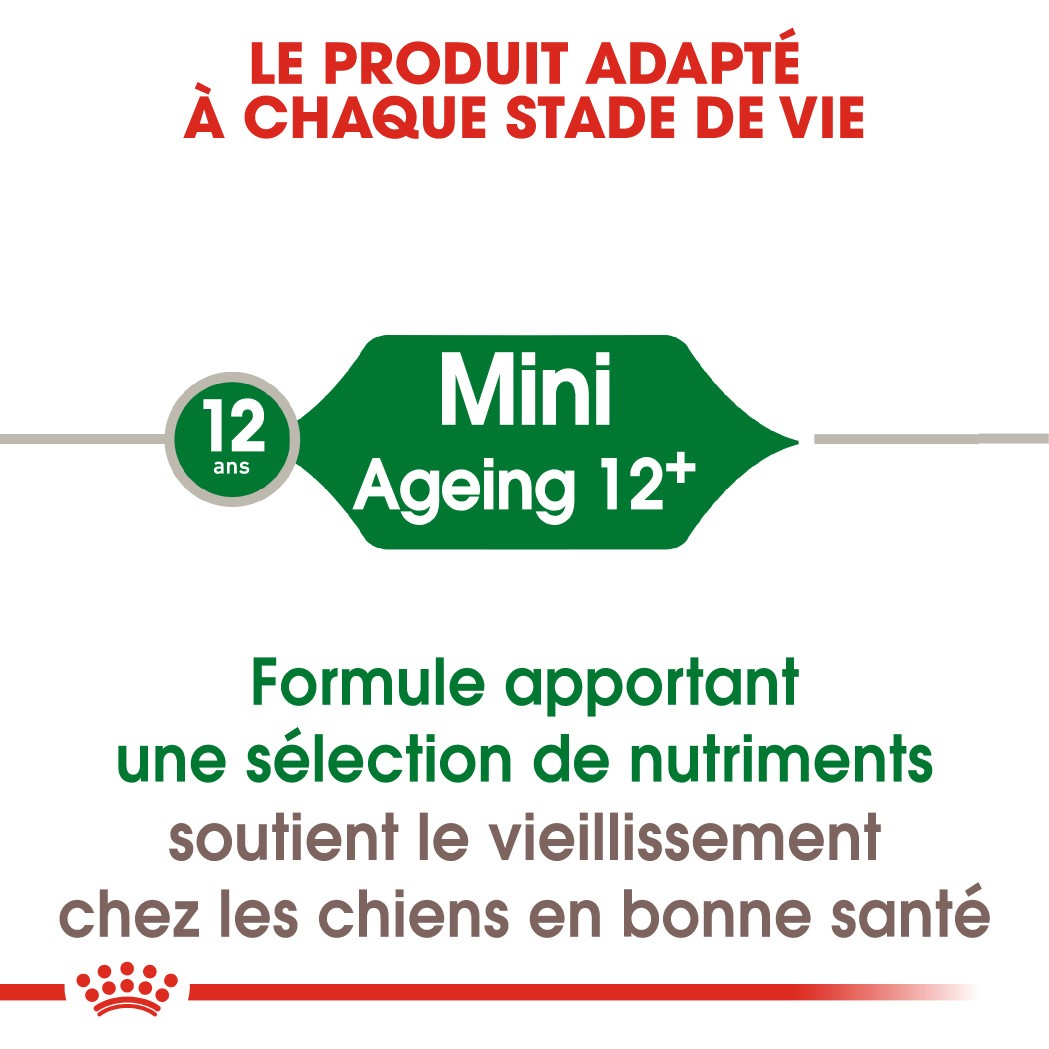 Royal Canin Mini Ageing 12+  - Croquettes pour chien
