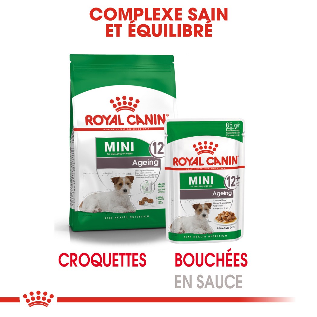 Royal Canin Mini Ageing 12+  - Croquettes pour chien