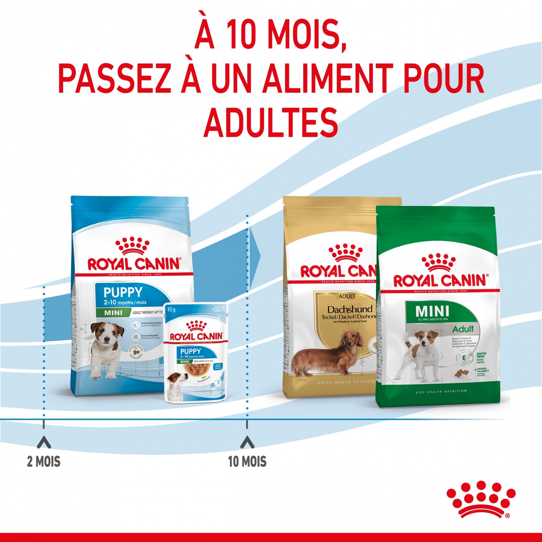 Royal Canin Mini Puppy - croquettes pour chiot