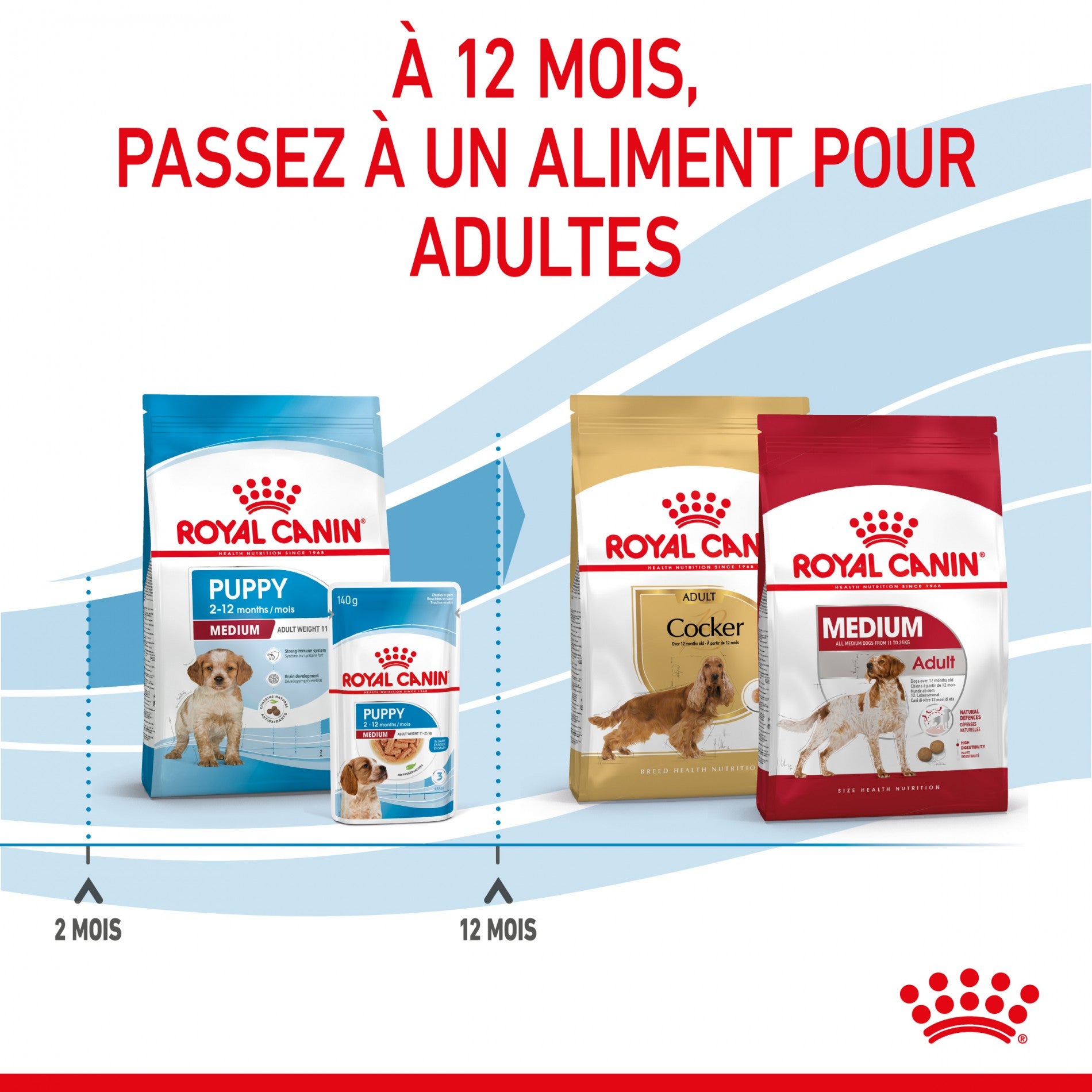 Royal Canin Medium Puppy - Croquettes pour chiot
