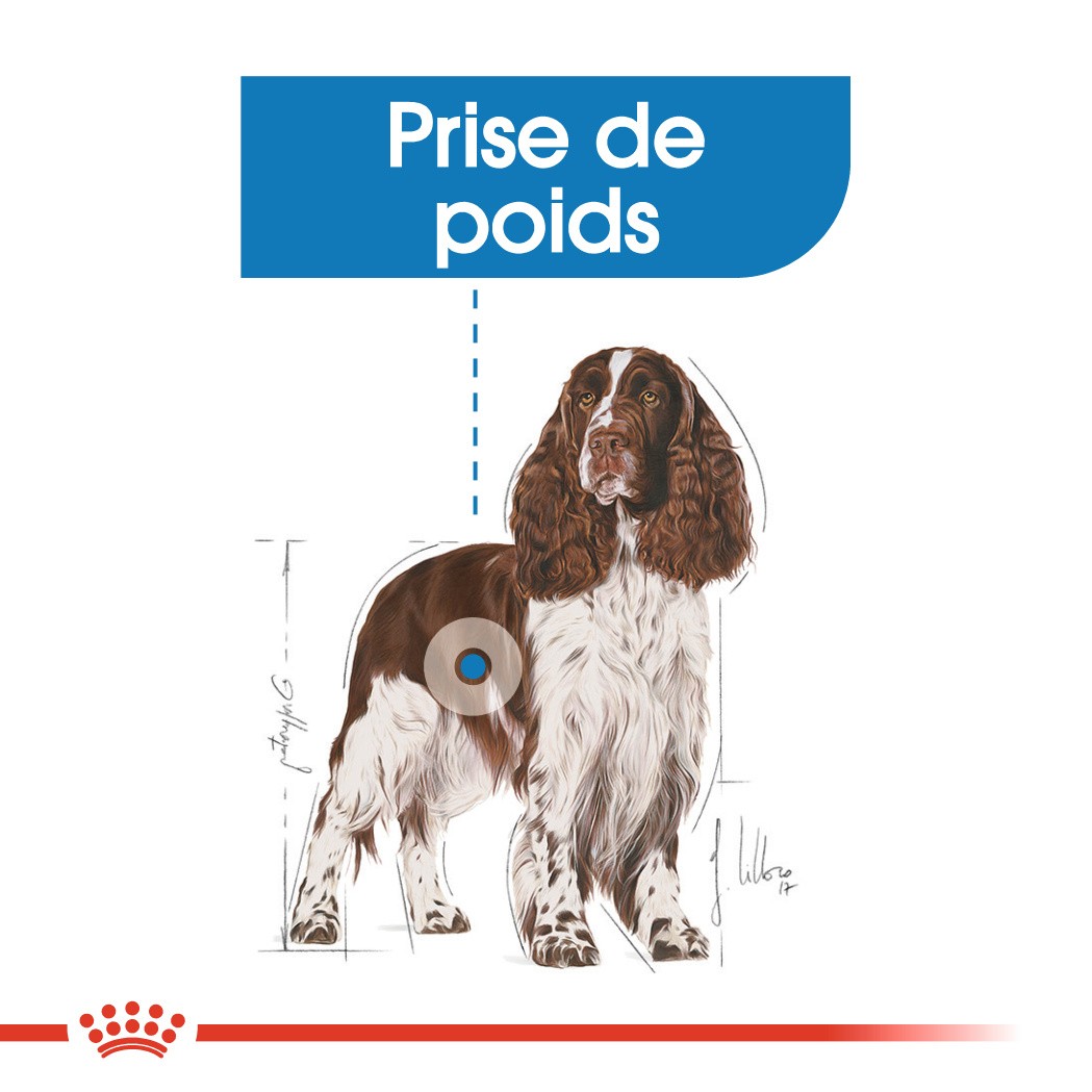 Royal Canin Medium Light Weight Care - Croquettes pour chien