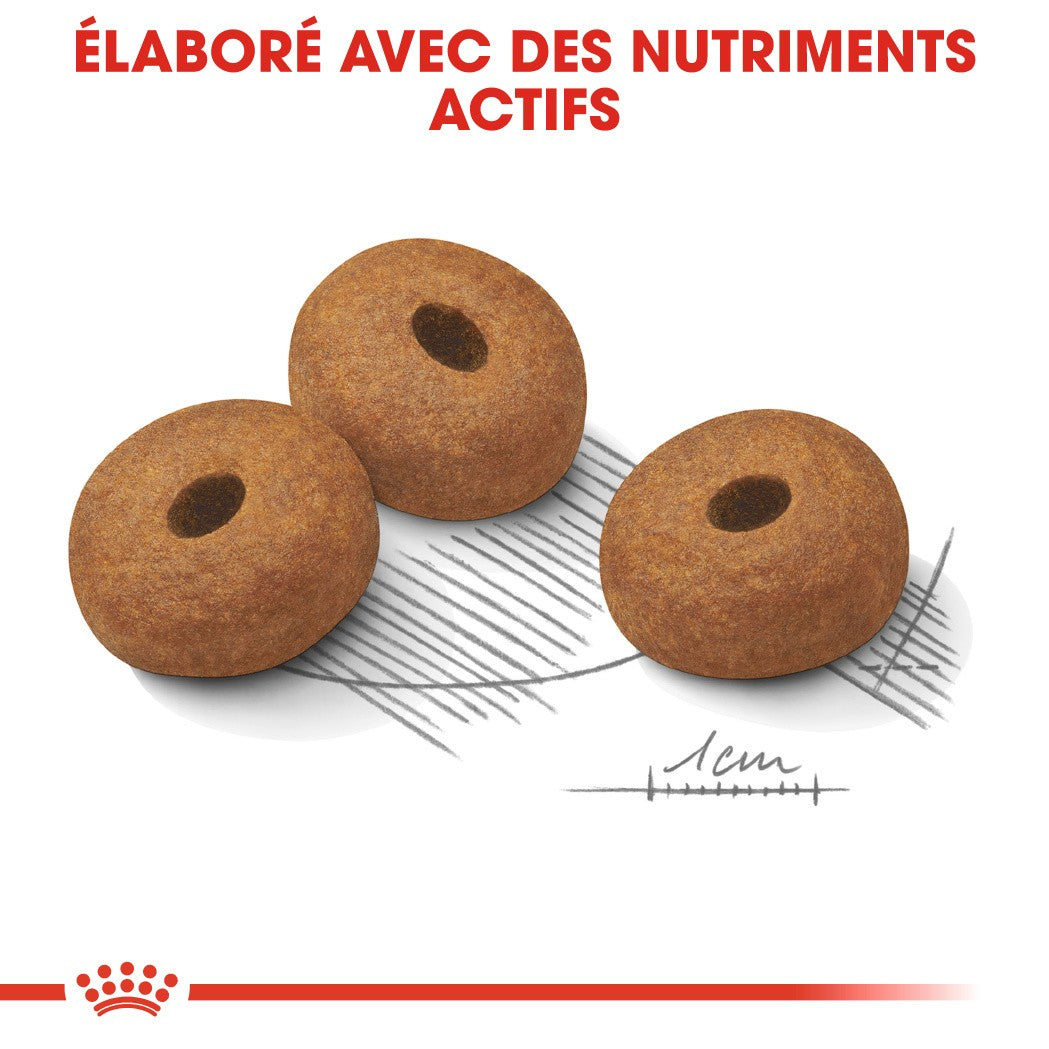 Royal Canin Maxi Light Weight Care - Croquettes pour chien