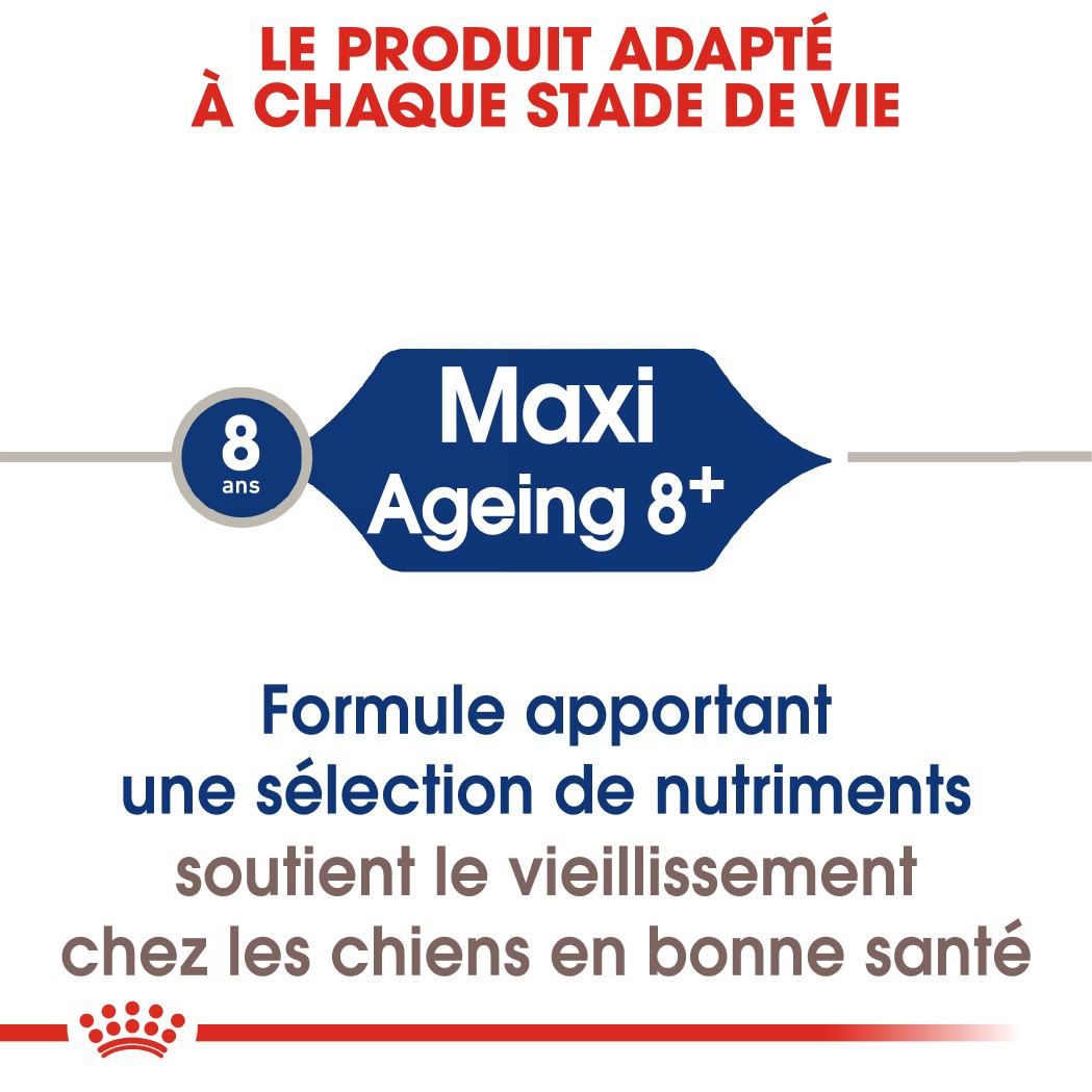 Royal Canin Maxi Ageing 8+ - Croquettes pour chien