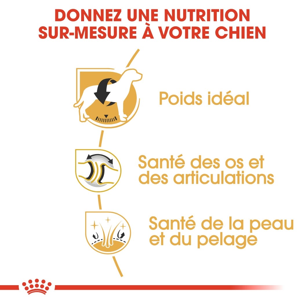 Royal Canin Labrador Retriever Adult - Croquettes pour chien