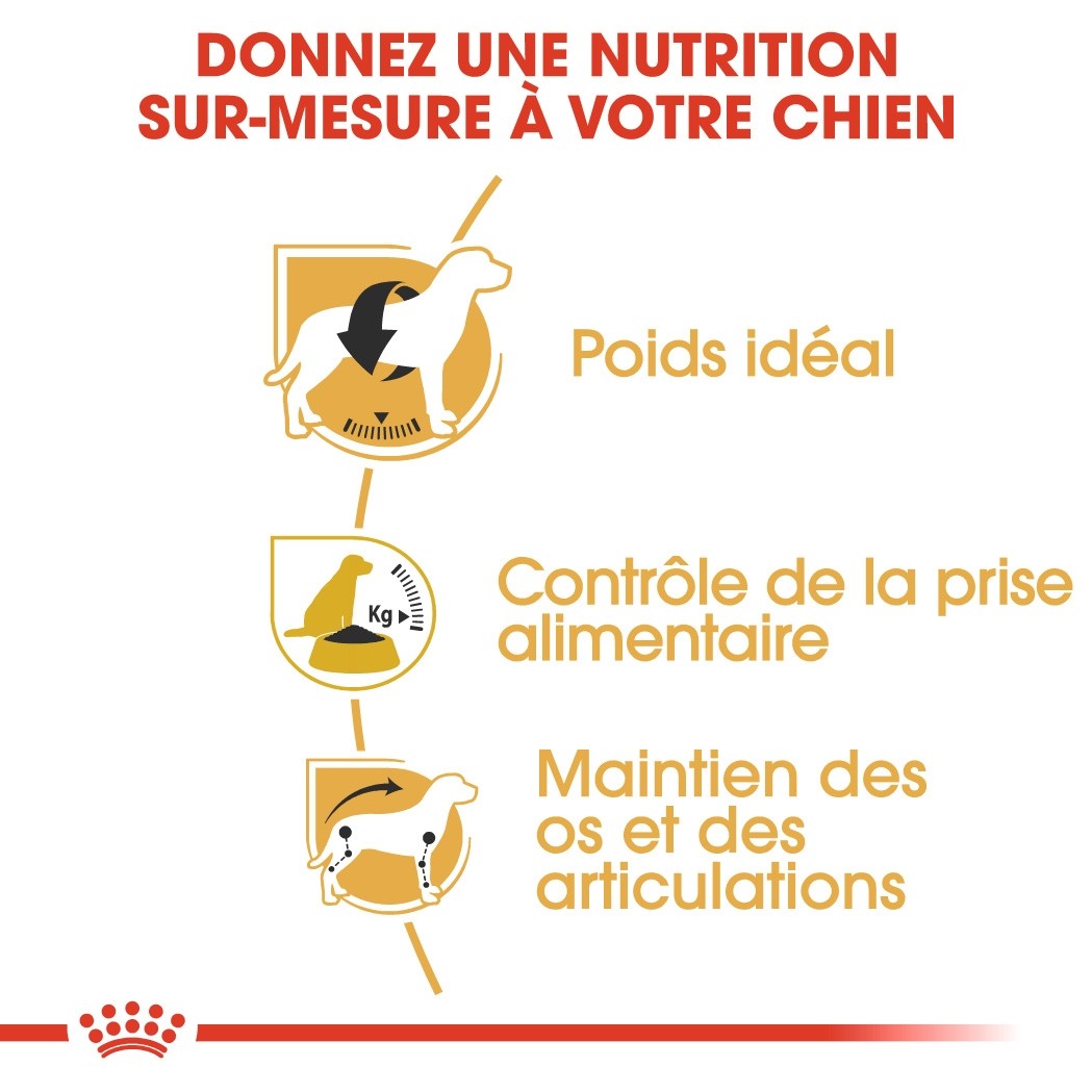 Royal Canin Beagle Adult - Croquettes pour chien