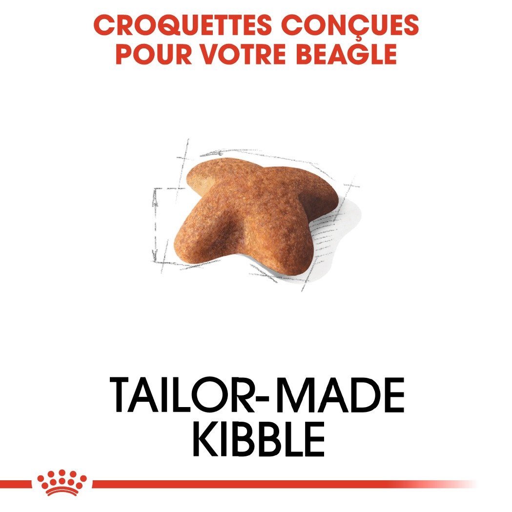 Royal Canin Beagle Adult - Croquettes pour chien