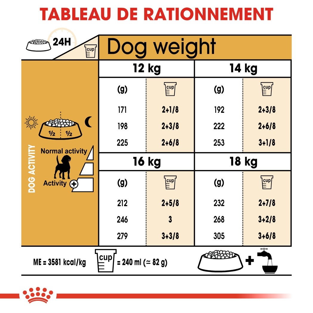 Royal Canin Beagle Adult - Croquettes pour chien