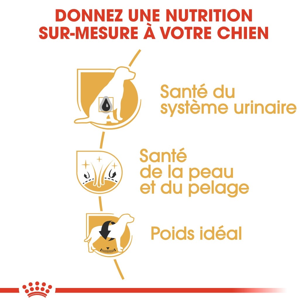 Royal Canin Bichon Frisé Adult