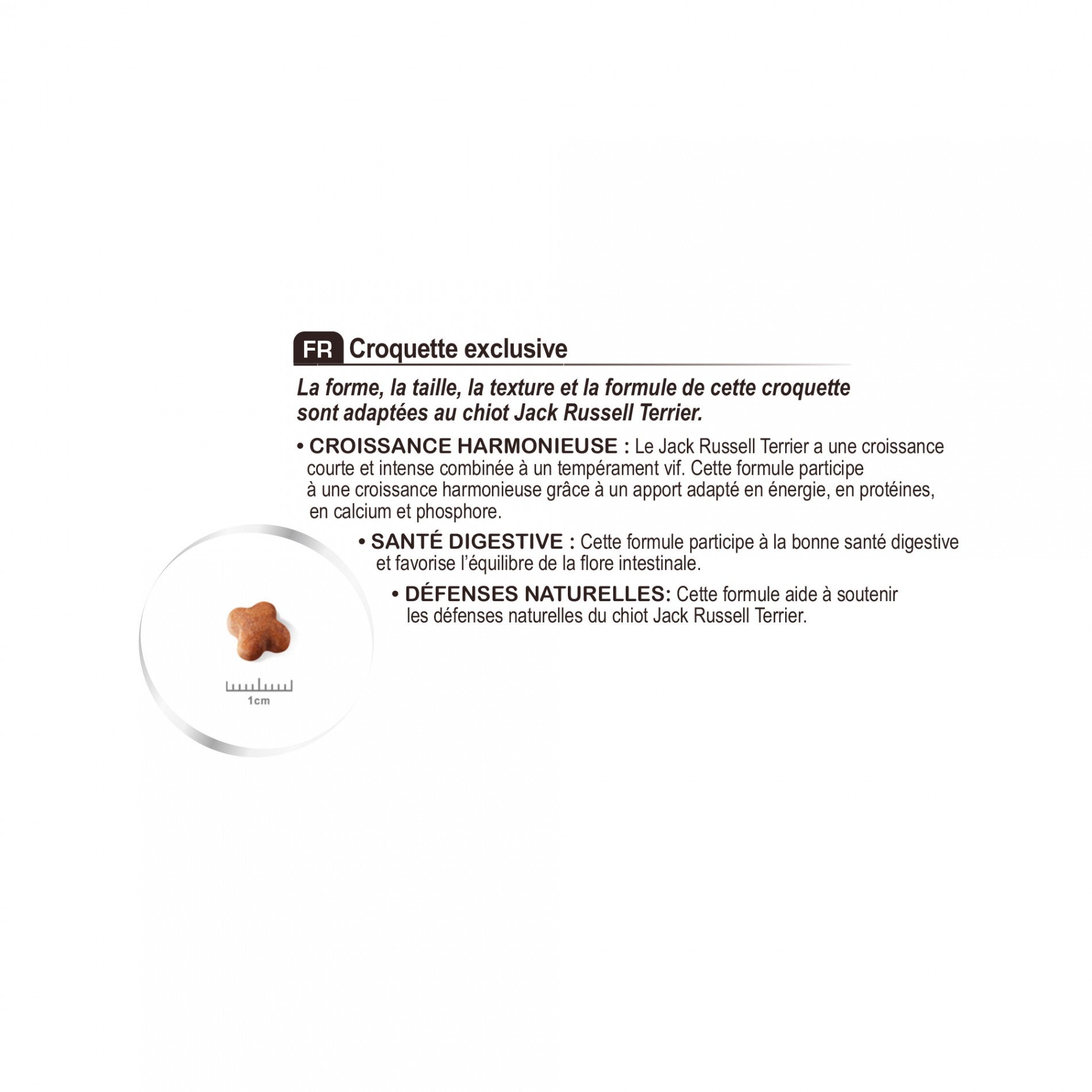 Royal Canin Jack Russell Puppy - Croquettes pour chiot