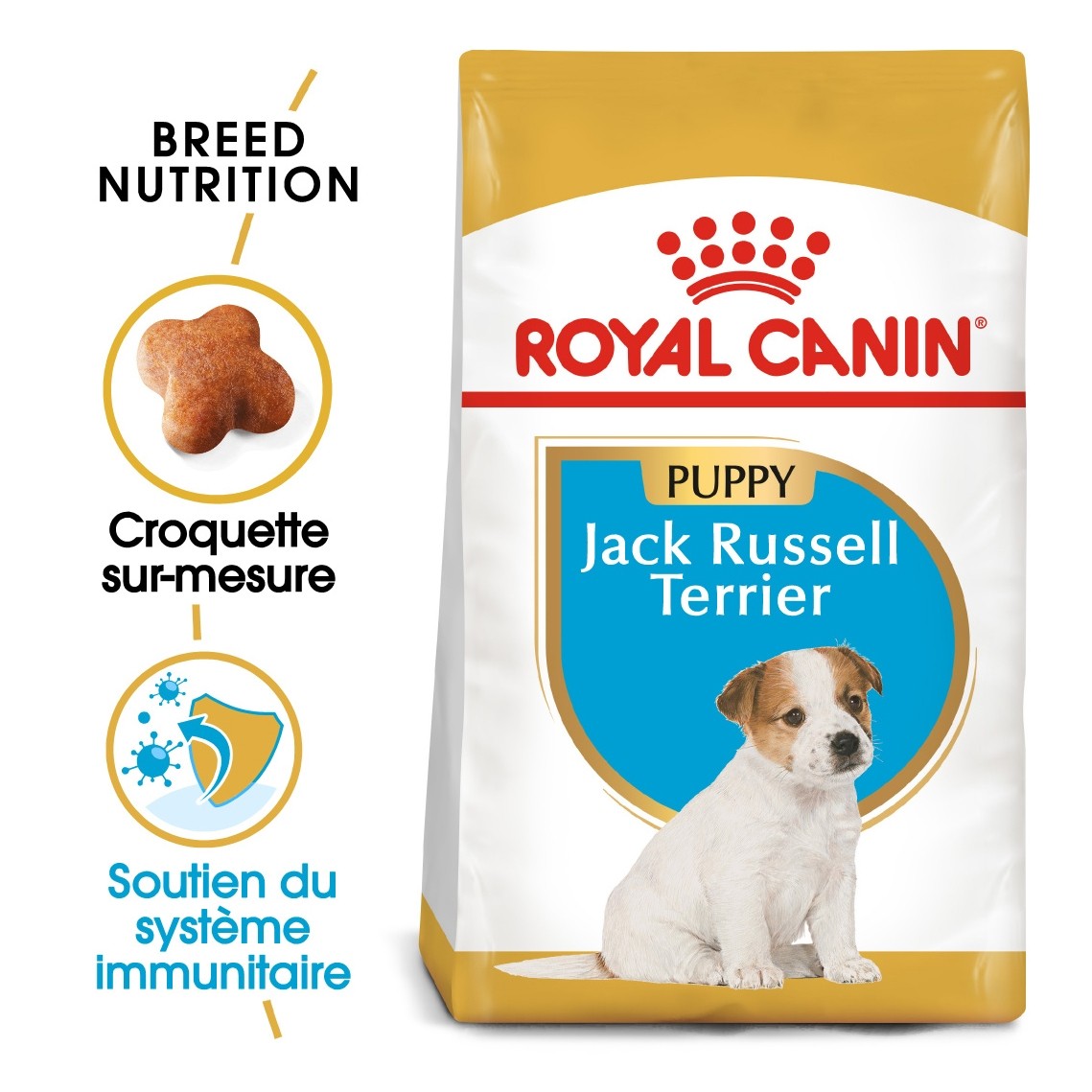 Royal Canin Jack Russell Puppy - Croquettes pour chiot