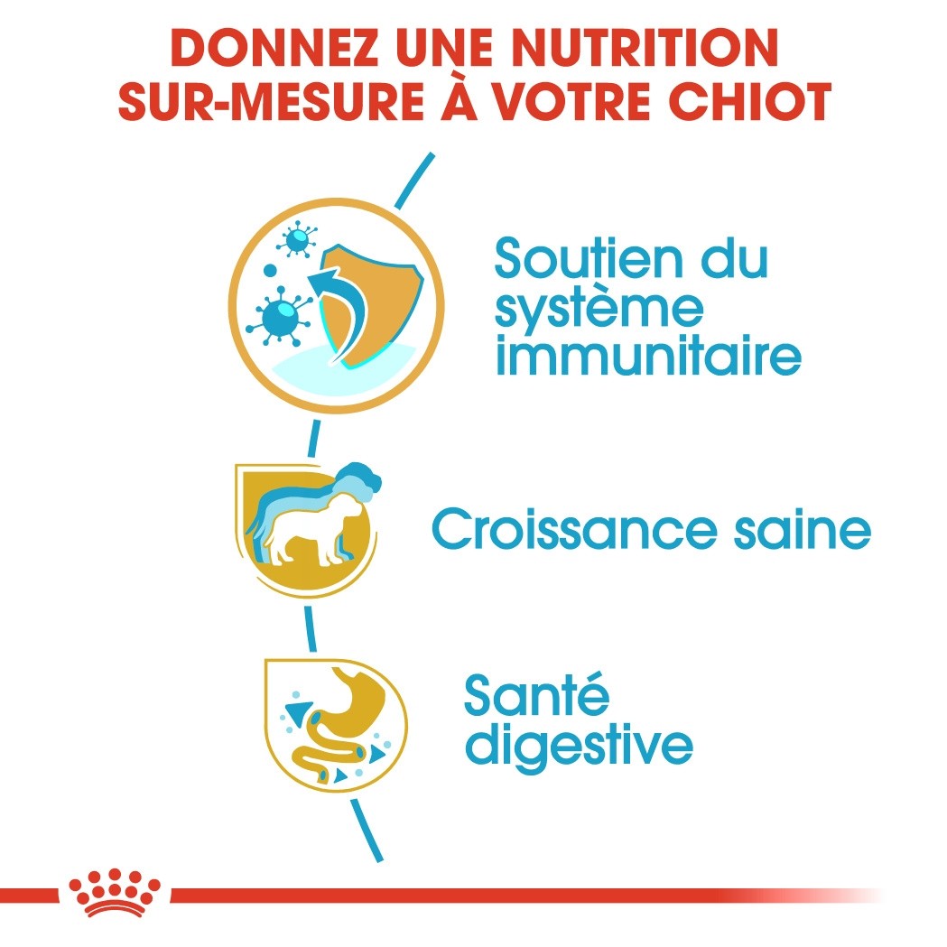 Royal Canin Jack Russell Puppy - Croquettes pour chiot