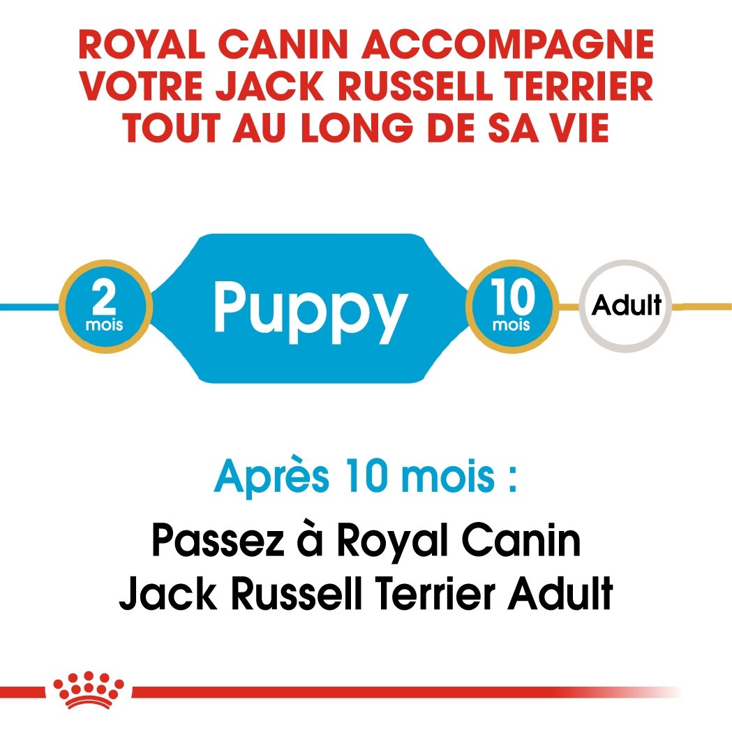 Royal Canin Jack Russell Puppy - Croquettes pour chiot