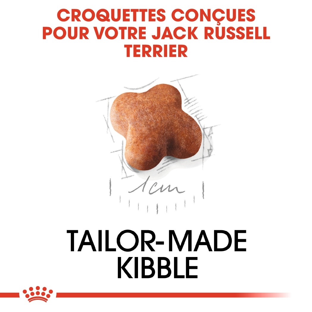 Royal Canin Jack Russell Puppy - Croquettes pour chiot